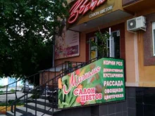 агрофирма Магнолия в Кургане