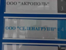 Мясо / Полуфабрикаты Селенагрупп в Самаре
