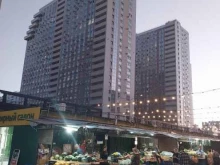 управляющая компания Репино в Краснодаре