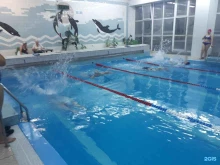 бассейн Олимпия в Чебаркуле