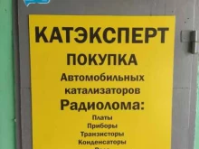 Компания Катэксперт Катализатор.рф в Туле