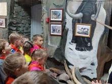 Детские сады Детский сад №141 комбинированного вида в Кемерово