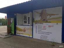 Косметика / Парфюмерия Магазин культтоваров в Ставрополе