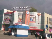 Лотос, проспект Строителей, 34Б 