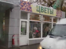 магазины цветов Цветок в Вологде