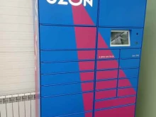 автоматизированный пункт выдачи OZON box в Ульяновске
