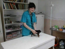ветеринарная лечебница Алиса в Армавире