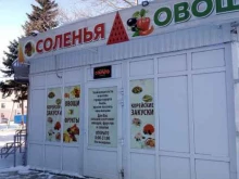 кафе быстрого питания Печь на дровах в Новороссийске