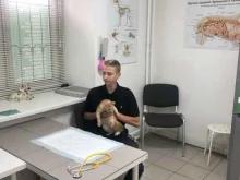 ветеринарная клиника Маняша в Одинцово