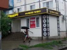 магазин пива Разливной рай в Воронеже