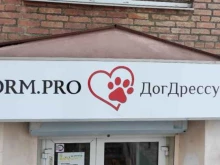 ДогДрессура, Восточная, 72 