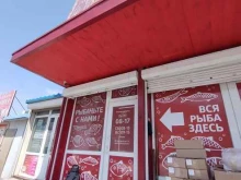 оптово-розничная продажа рыбной продукции Рыбачьте с нами! в Владивостоке