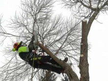 компания Green Service в Екатеринбурге