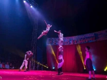 цирковая школа Браво в Воронеже