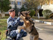 Отделения полиции Отдел полиции УВД по федеральной территории Сириус в Сочи