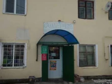 Ромашка, Центральная, 10 