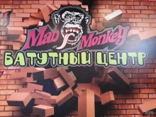 батутный центр Mad Monkey в Ноябрьске
