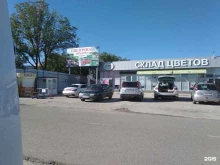 Цветы Цветочный магазин в Краснодаре