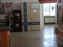 автоматизированный пункт выдачи Ozon box в Егорьевске