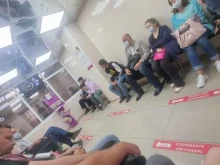 Нотариальные услуги Нотариус Чижаева Л.Е. в Солнечногорске