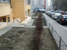 типография Copyleft в Воронеже