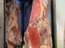 Мясо / Полуфабрикаты Артос в Владивостоке
