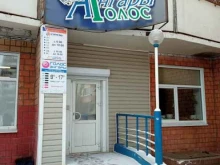Радиостанции Голос Ангары, FM 103.5 в Братске
