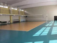 волейбольный клуб Липецк в Липецке