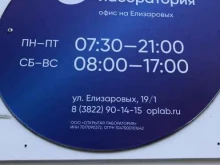 Открытая лаборатория, улица Елизаровых, 19/1 