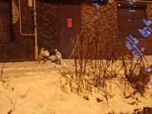 салон декоративных покрытий Panteon в Калининграде