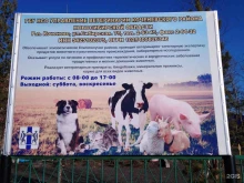 Ветеринарные клиники Управление ветеринарии Коченевского района в Новосибирске