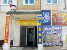 Теплицы Магазин цветов в Вихоревке