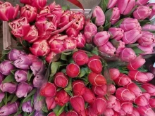 флористический салон Цветы декор в Казани