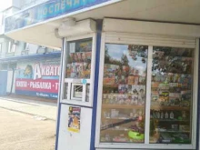 киоск по продаже печатной продукции Роспечать в Сызрани