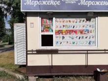 Снежный городок, Косыгина, 29в киоск 