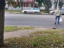 буфетерий Karpoff в Ярославле