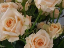 флористический салон Семь роз в Нальчике