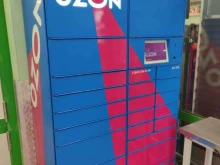 автоматизированный пункт выдачи Ozon box в Щербинке