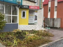 салон цветов и подарков Цветnik в Сатке