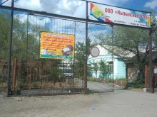 Общественные организации Кызылское УПП в Кызыле