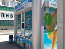 киоск по продаже мороженого Славица в Саратове