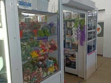 Посуда Магазин посуды и цветов в Барнауле