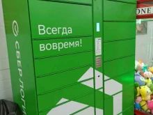 постамат СберЛогистика в Дегтярске