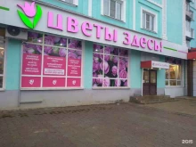 цветочный магазин Цветы здесь в Новомосковске
