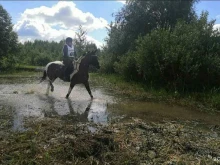 конный центр Аврора в Сыктывкаре