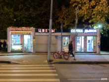 Копировальные услуги Займыч в Реутове