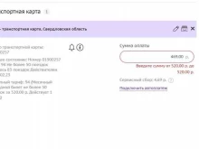 сервис приема платежей Фрисби в Екатеринбурге