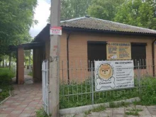 груминг-салон Стиляги в Дивногорске