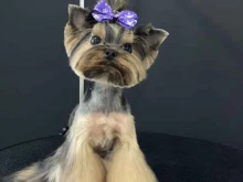 Groom Paws, улица Корнилаева, 16 