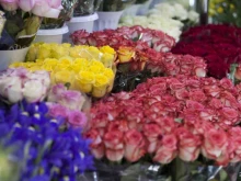сеть цветочных салонов Цветкоff в Тюмени